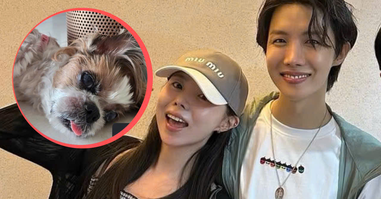 j-hope’s Sister’s Latest Update on His Dog Leaves Fans Heartbroken