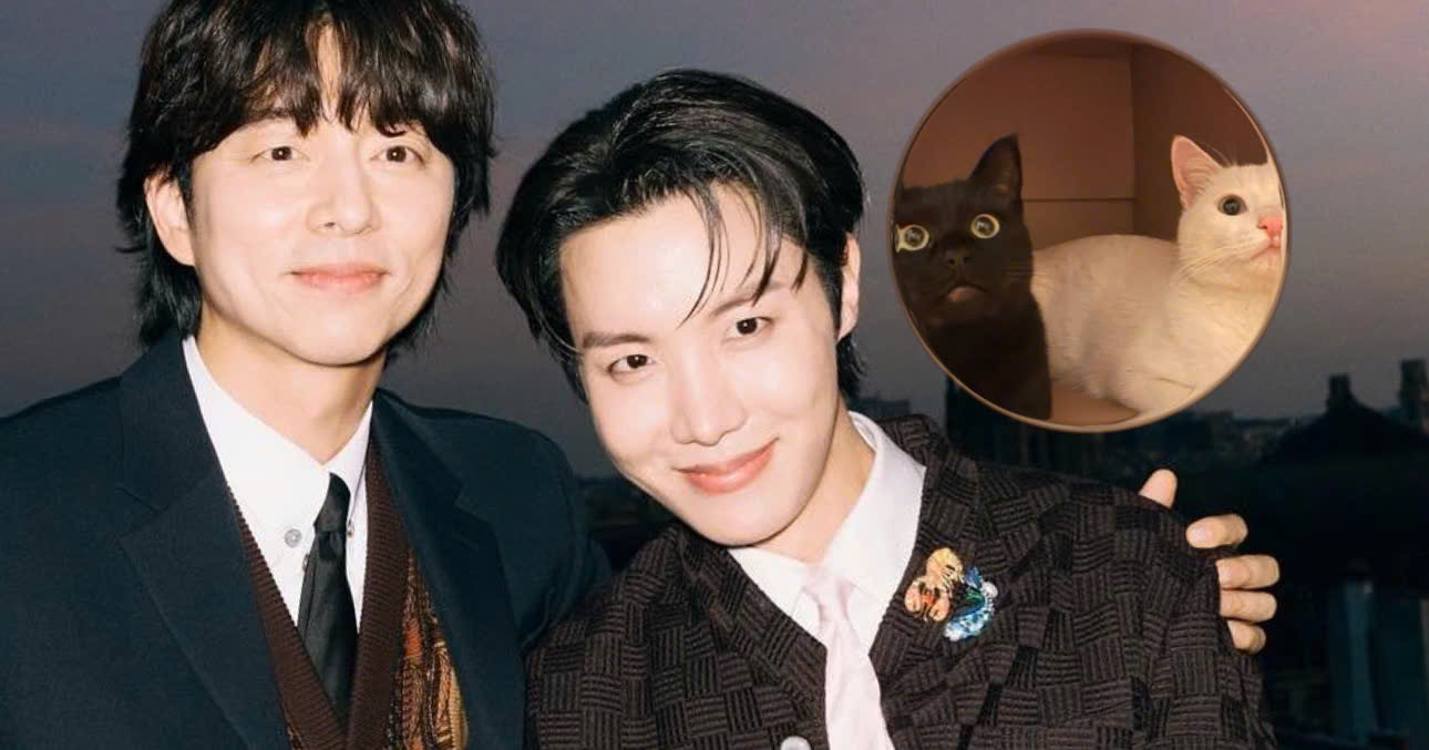 The Photo Of j-hope's 2 Cats “Posted“ By Famous Actor Gong Yoo Is Going Viral On SNS