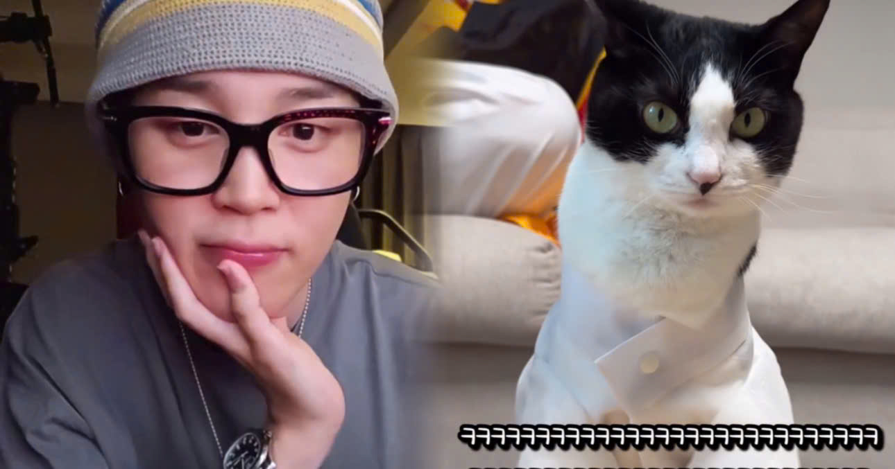 A YouTuber Shocked After Discovering The Real Number Of Viewers Watching His Cat In Jimin’s Weverse Live