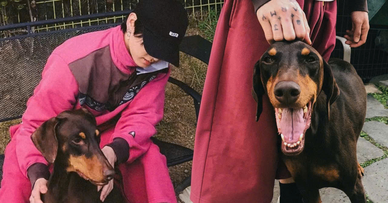 Jungkook Shares His Feelings About Bam, Shutting Down Malicious Claims That He Abandoned His Beloved Dog