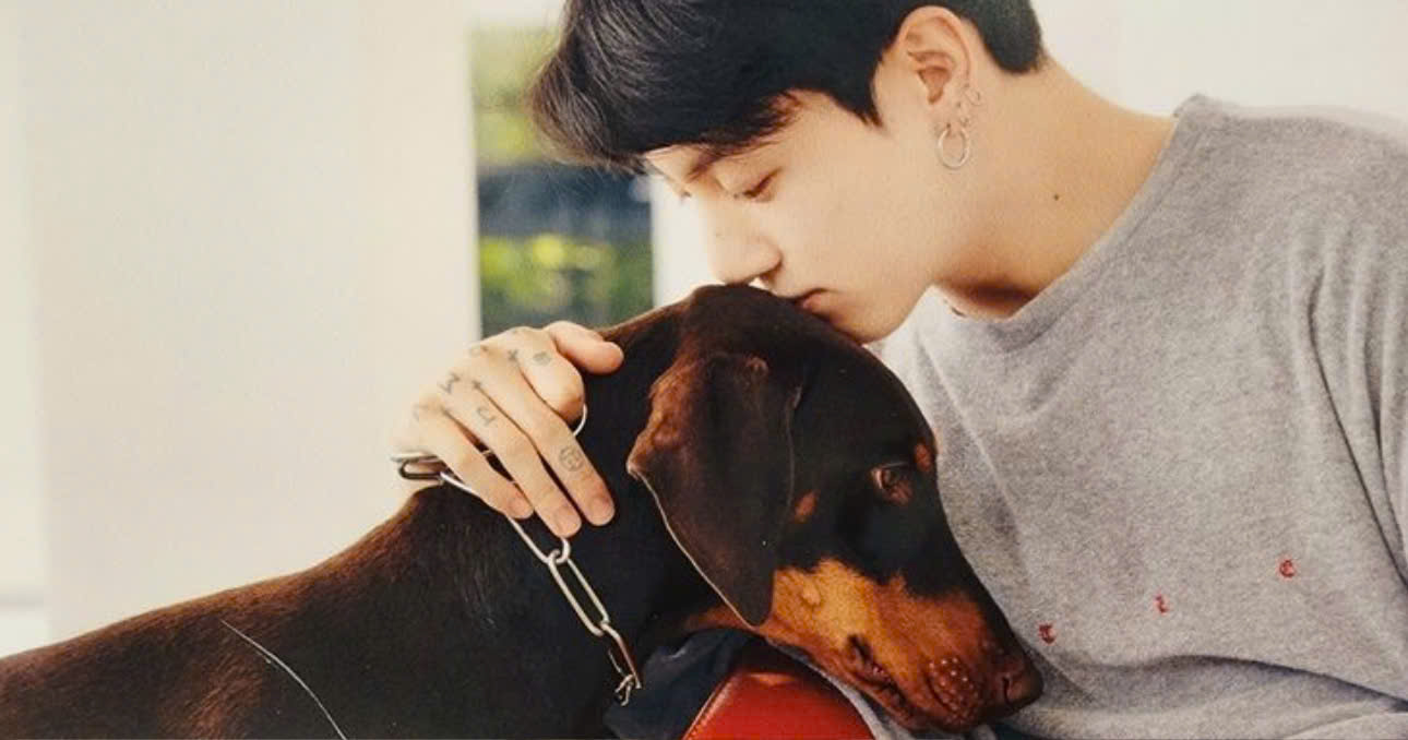 Jungkook And His Dog Bam Face A Lot Of Hate Comments And Death Wishes On Instagram Account