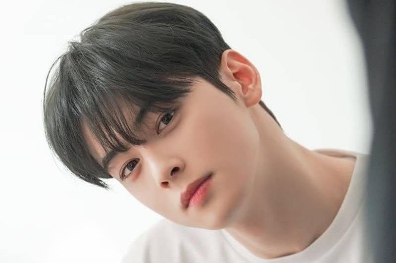 ASTRO's Cha Eun Woo makes jaws drop with his visuals and proportions