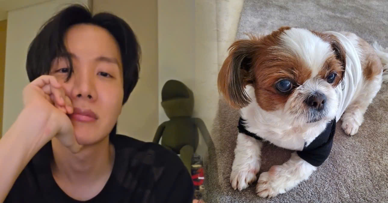j-hope’s Prayer For Mickey In Critical Condition Leaves ARMYs Heartbroken