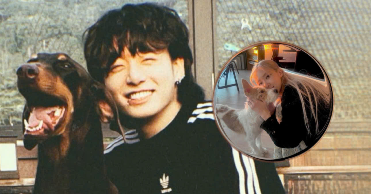 Fans Criticize Vogue For Stripping Bam Of The Title Of Most-followed Celebrity Pet In Favor Of Another Idol’s Dog
