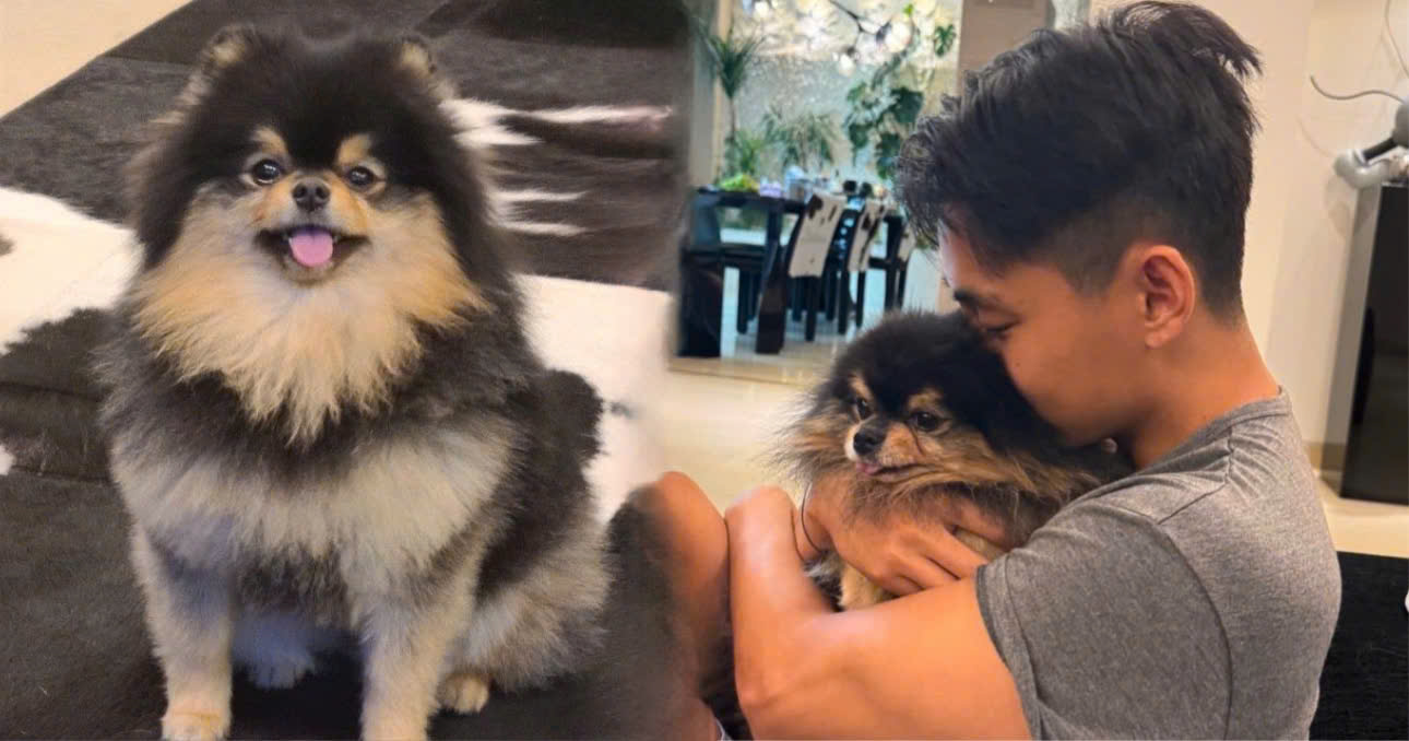 Fans Are Heartbroken Over The Cause Of Yeontan's Death