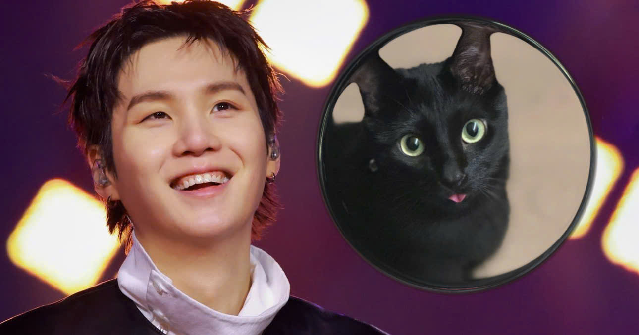 Fact Check: SUGA’s TikTok Account Is Blowing Up Online