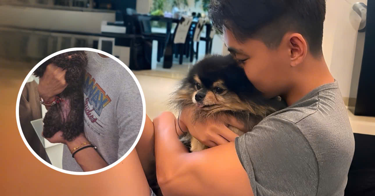 V’s Snapshot Kissing A Different Dog Reminds ARMYs Of Yeontan