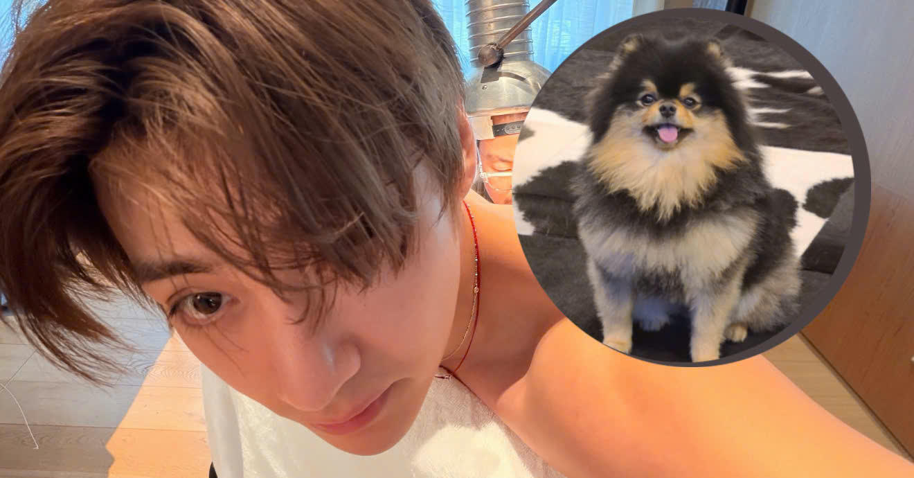 V Moves ARMY to Tears by Revealing He Got a Tattoo of Yeontan on His Birthday