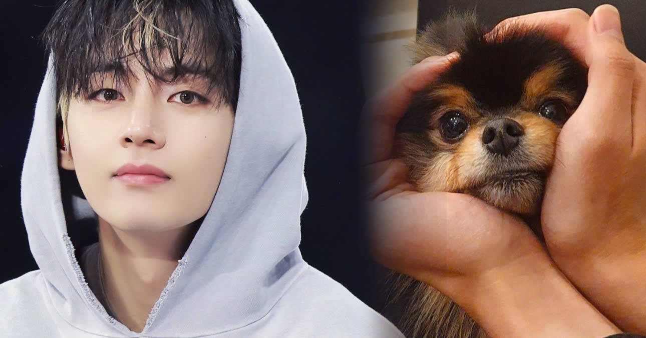 V Opens Up About Missing Yeontan, Leaving ARMY In Tears