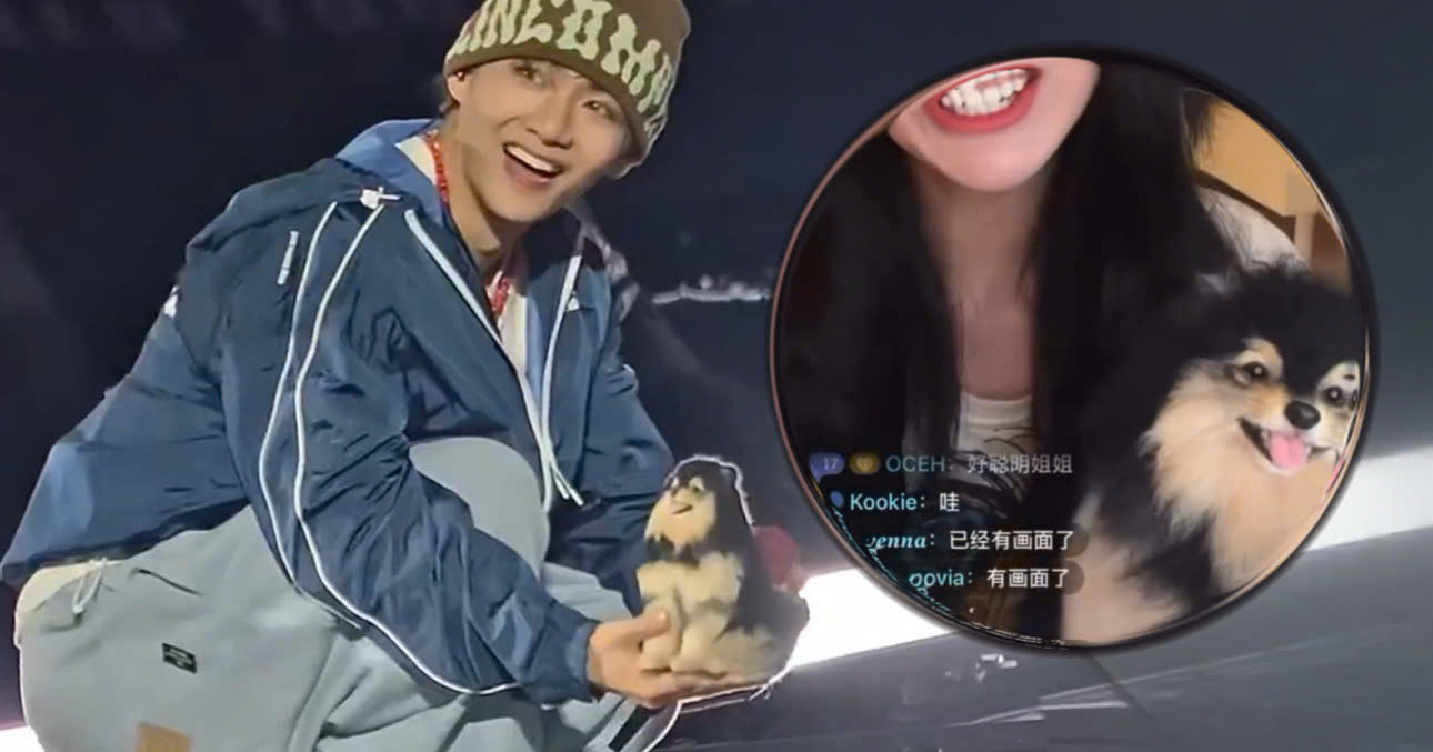 ARMYs Expose The Scary Fact Behind Yeontan Plushie At BTS Concert; Fans Are Relieved V Refused to Keep It