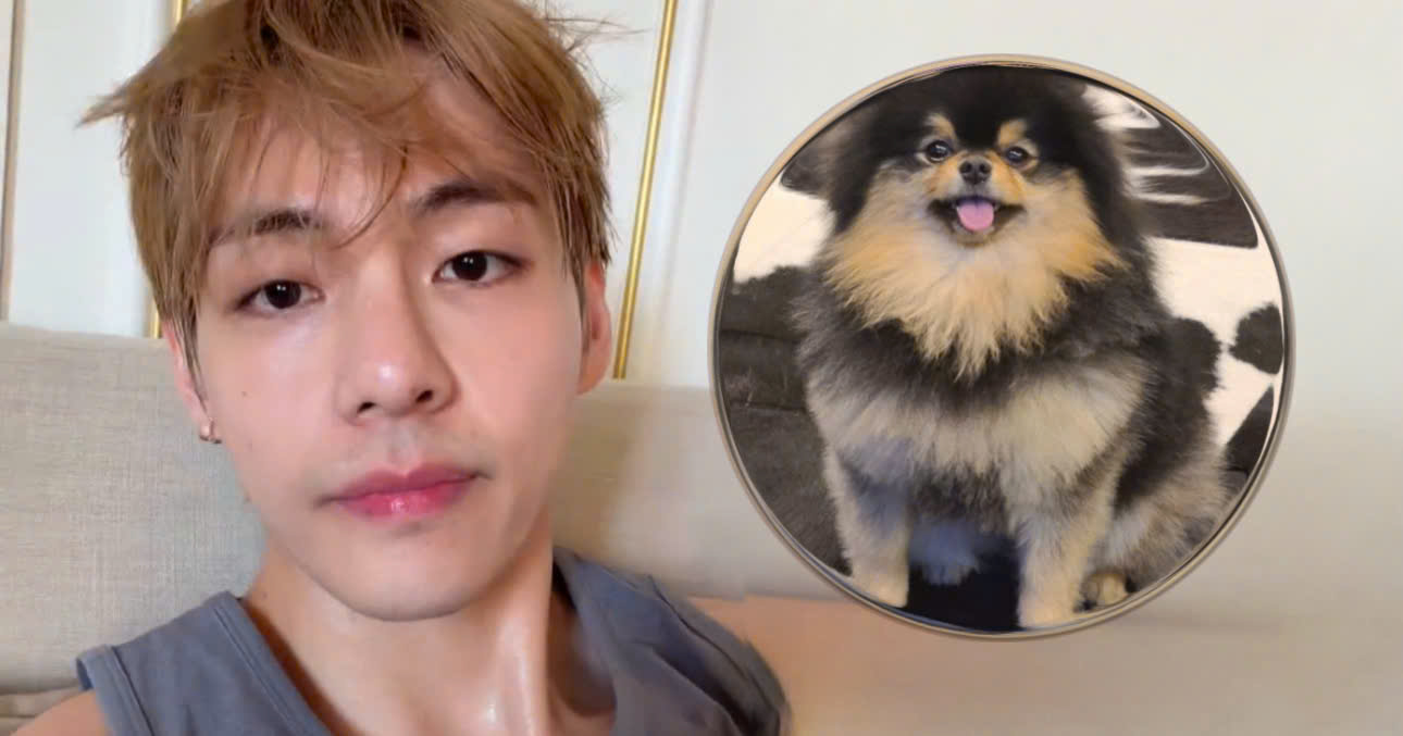 V Holds An Unprecedented K-Pop Record Thanks to His Beloved Pet, Yeontan